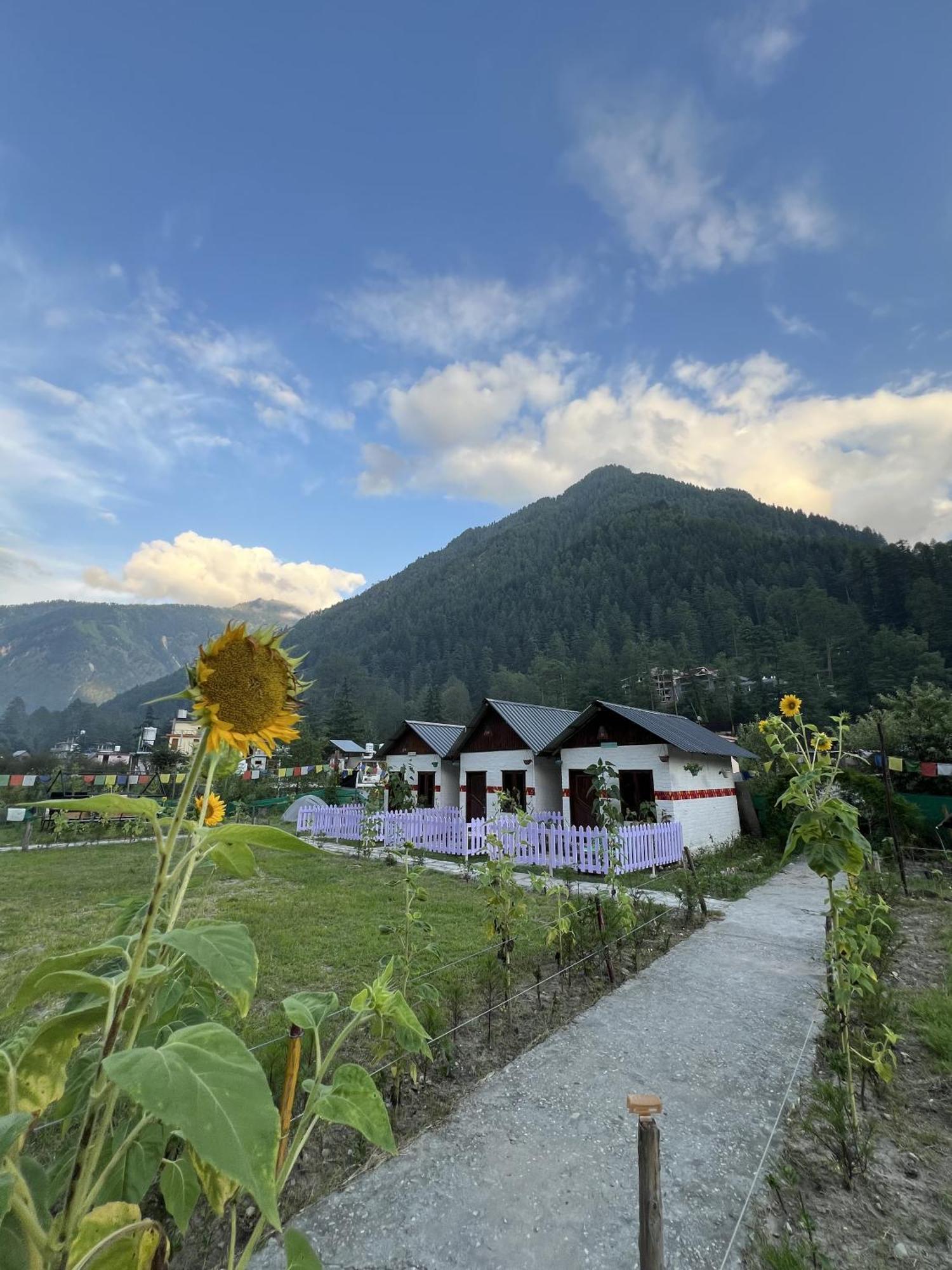 Himtrek Stay Kasol Exterior foto